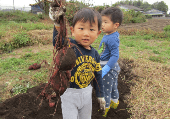 11月の写真